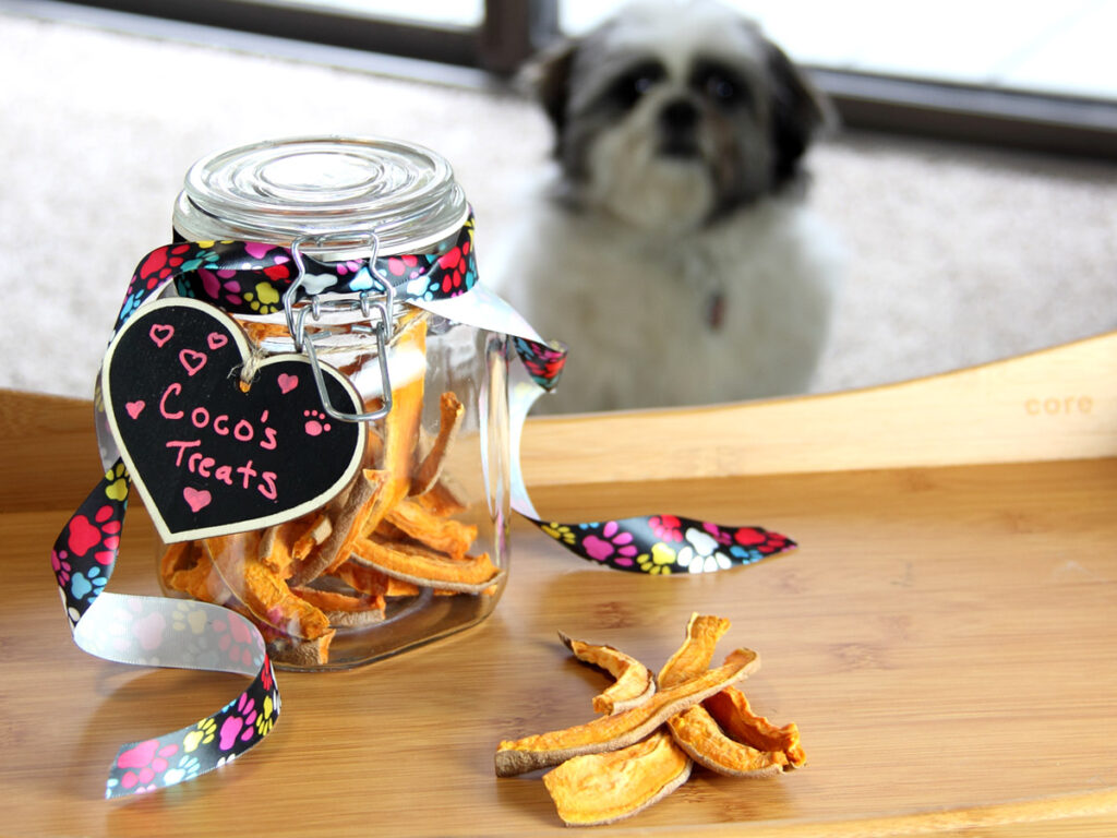 Sweet potato dog treats in a class jar labeled Cocos treats with a dog standing behind it looking at them.