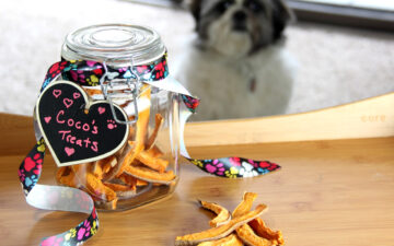 Sweet potato dog treats in a glass jar labeled Cocos treats with a dog standing behind it looking at them.